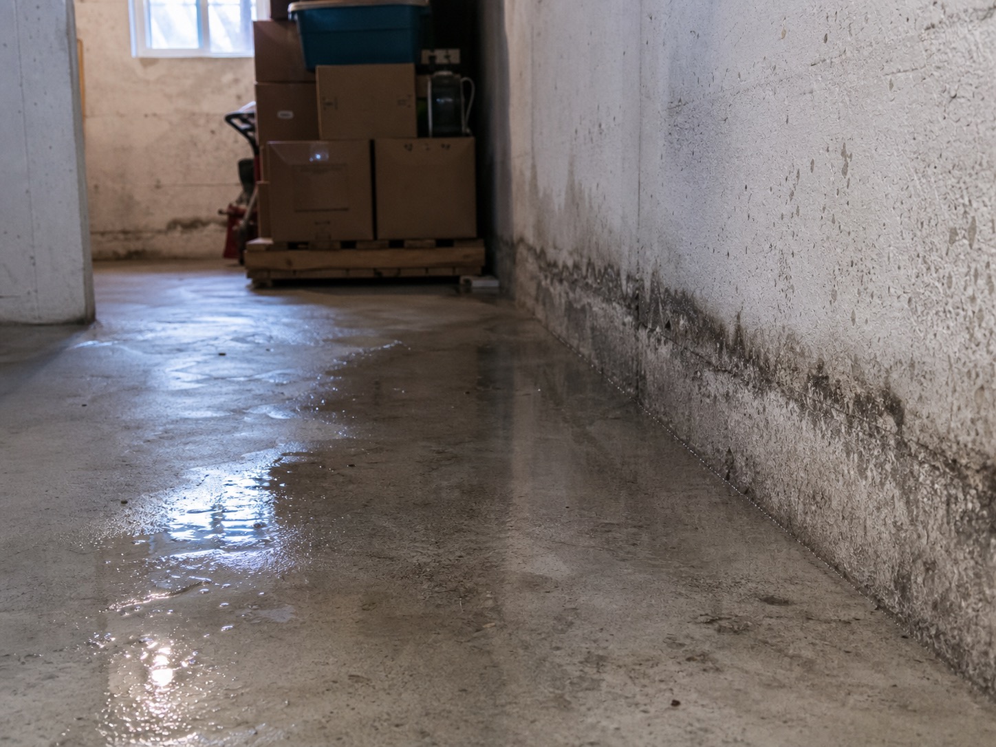 Eau au sol près du mur de fondation dans un sous-sol